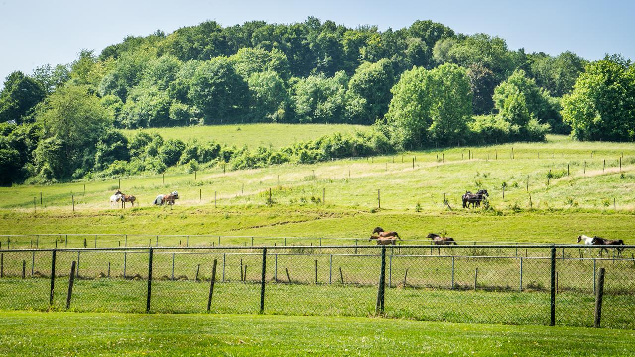 Panorama Sousberg B&B Schin op Geul Bagian luar foto